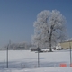 2005-02-04 Mishawaka Ice Storm 2